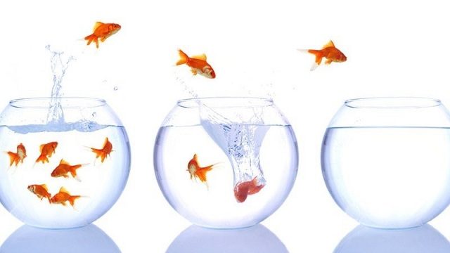 Why Your Business Should Explore New Markets Business Should Explore New Markets