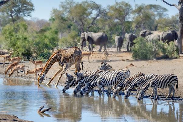 Kruger National Park