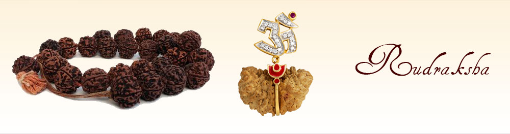 Things to know about the Rudraksha