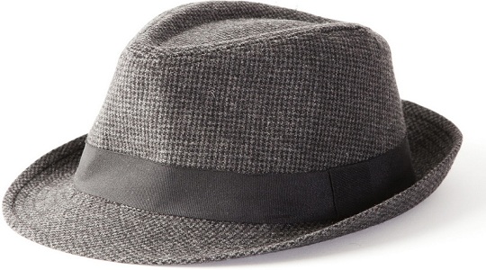 Fedora hat