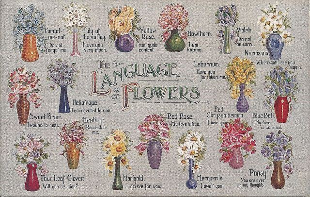 flowers and their significance