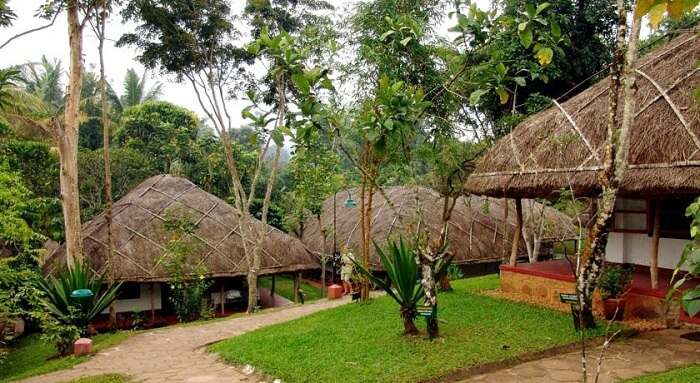 spice village periyar