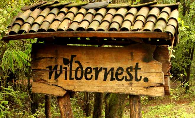 wildernest resort goa