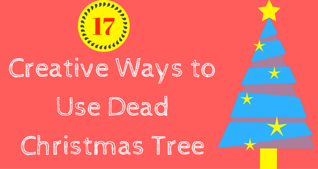 Creative Ways to Use Dead Christmas Tree