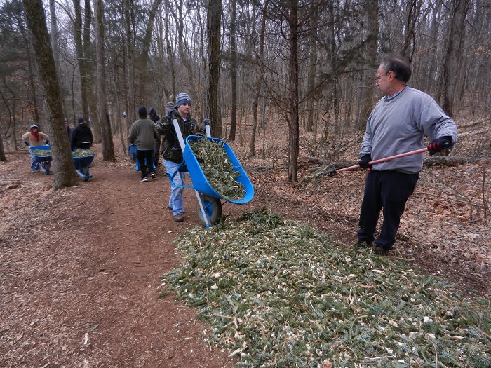 17 Creative Ways to Use(Recycle) Dead Christmas Tree