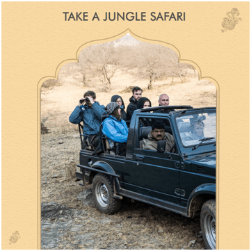 Take a jungle safari