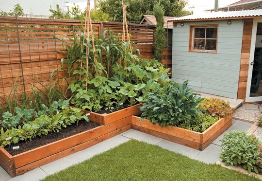 small-garden-idea