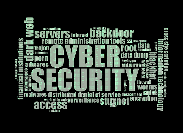 Why Cyber Security is a Priority for Small and Start-up Businesses