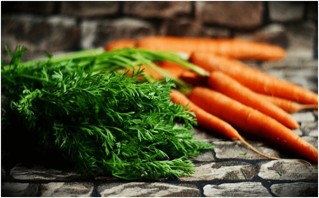 Lifespan and Usage of Carrots