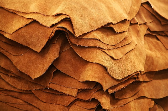 Interesting Facts About Leather