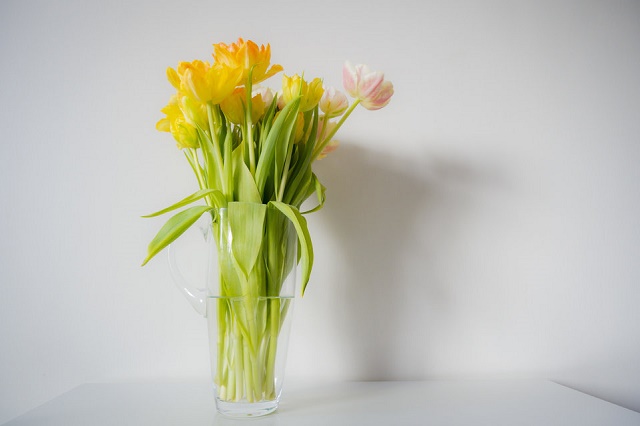 Best Tips to Keep Your Newly Delivered Flowers Fresh