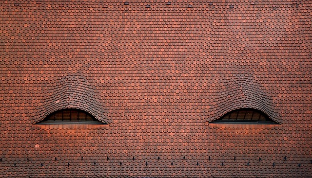 Recreate Spectacular Rooftops