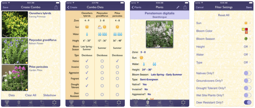 perennial match