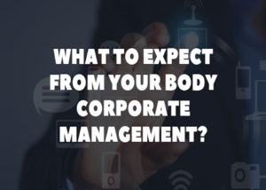 Body Corporate Management