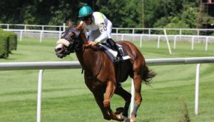 Horse Racing Event