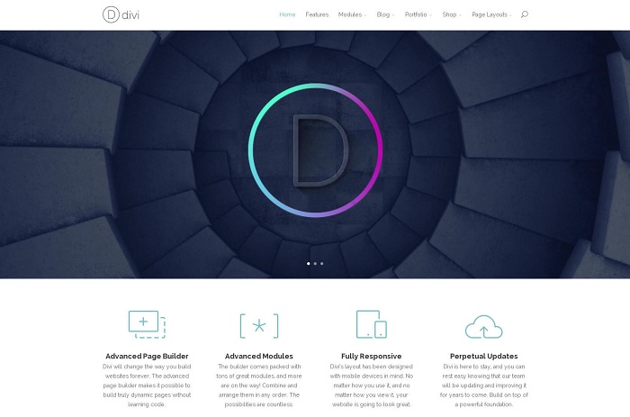 divi-theme