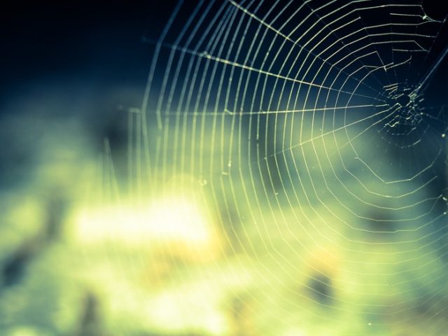 The Importance of Network Performance The Importance of Network Performance
