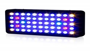 Best LED Grow Lights: Can an Unknown Best Grow Light Take the Top?