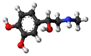 Hormone