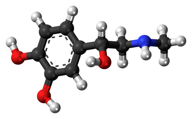 Hormone