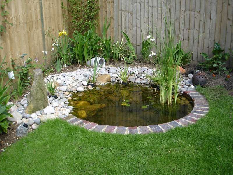 6 Steps To Building A Garden With Pond, How To Make A Very Small Garden Pond