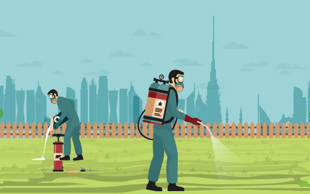 6 Tips to Home Pest Control Home Pest Control