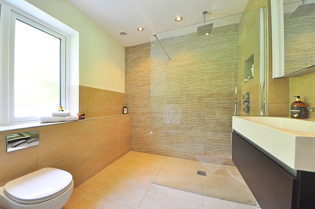 How to Choose the Floor Tiles for Small Bathrooms