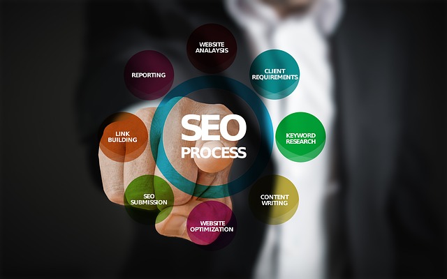 SEO info