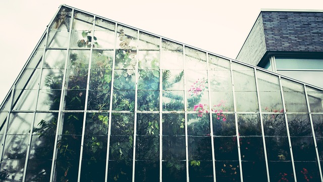 Greenhouse