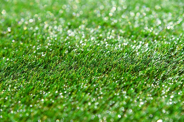 Synthetic Grass