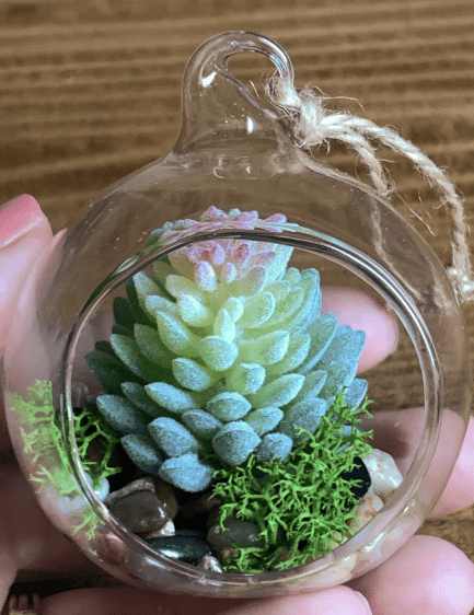 Mini Terrariums-min