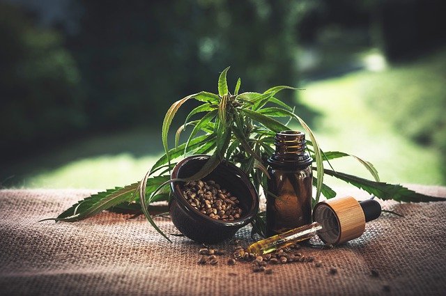 How CBD Oil Can Improve Your Life in One Month