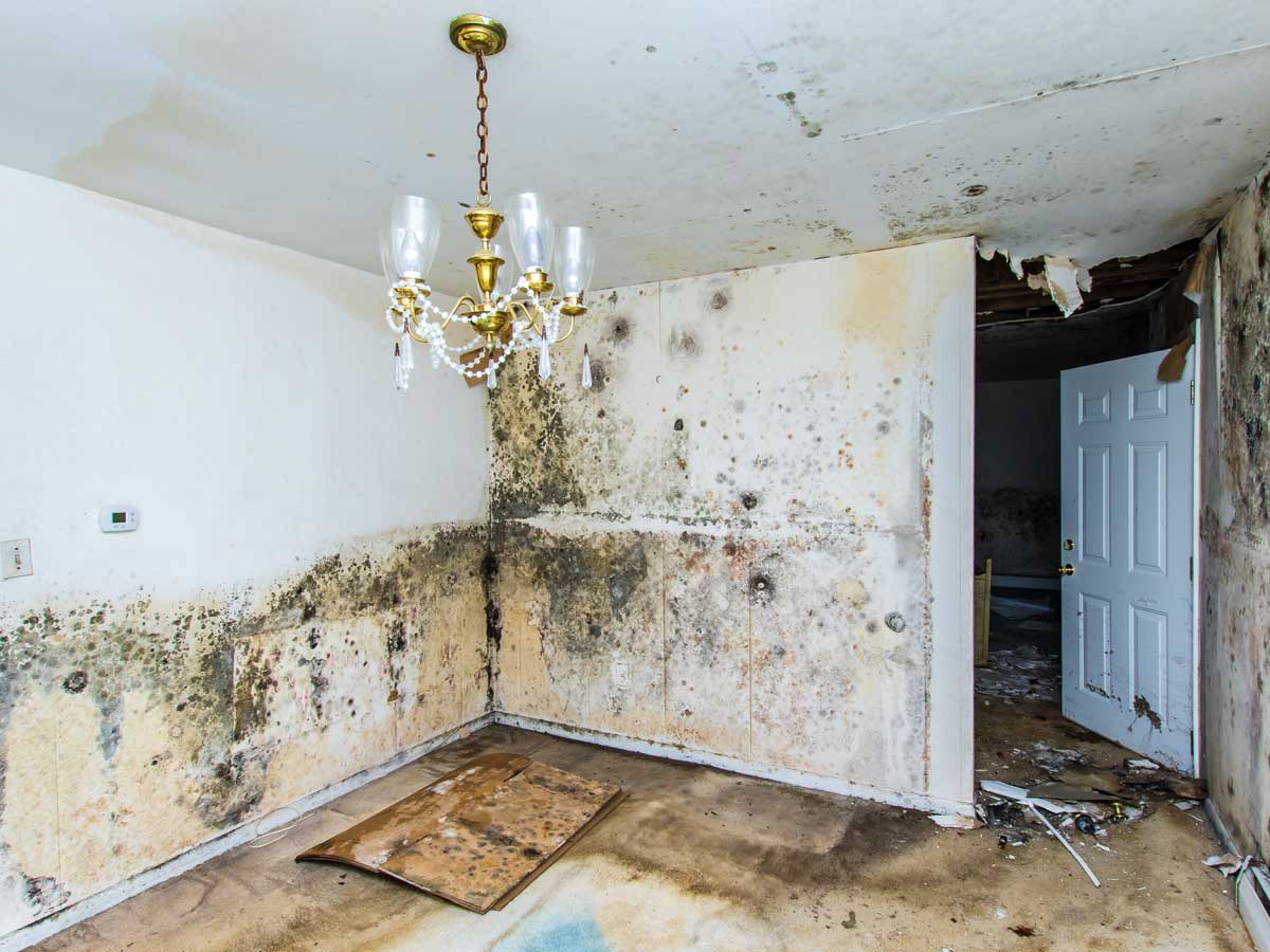 water damage restoration Northern VA