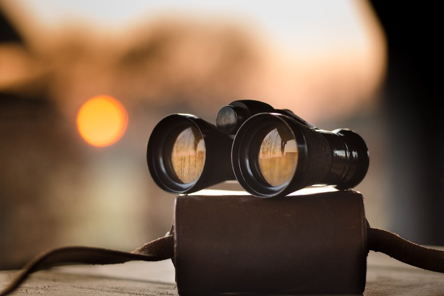 Essential Aspects to Consider for Purchasing Binoculars with Night Optics