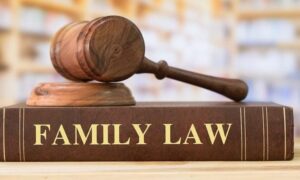 Essential Reasons Why You Need to Hire a Professional Family Lawyer