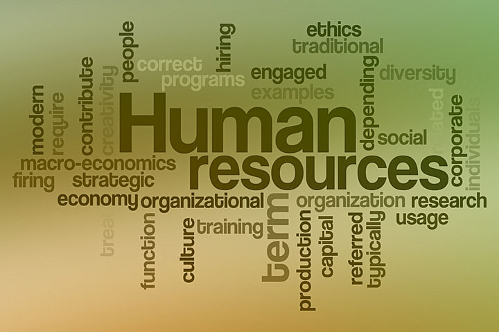What to Look for in a Human Resource Intern