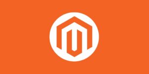 Top Magento Development Companies in For 2021