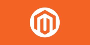 Top Magento Development Companies in For 2021