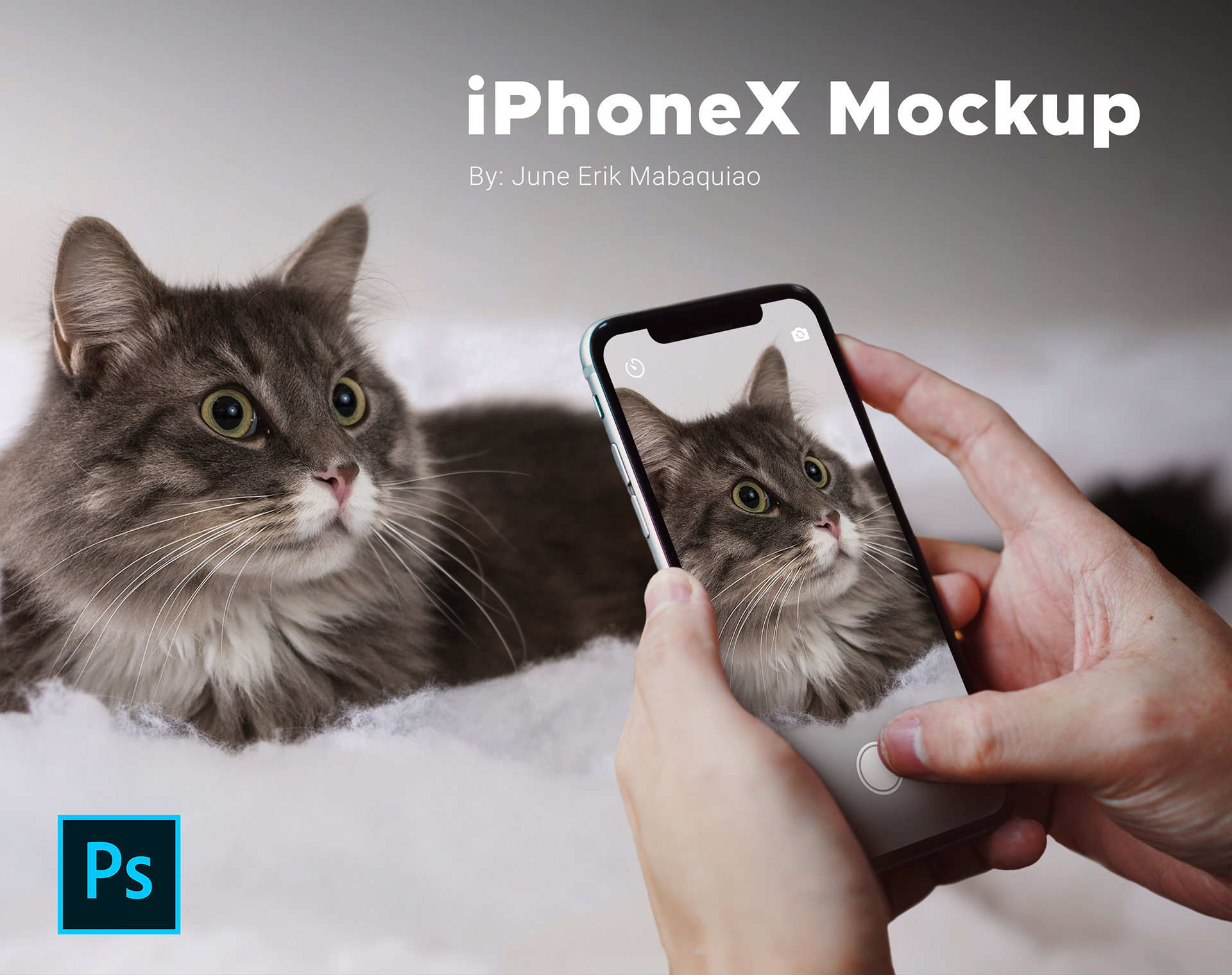 Mockup iPhoneX - PSD Format