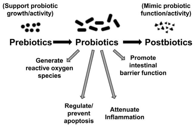 Prebiotics, Probiotics, and Postbiotics