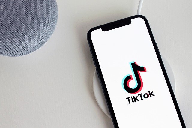 TikTok Statistics