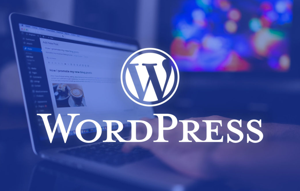 Questions You Must Ask Before Hiring a WordPress Developer