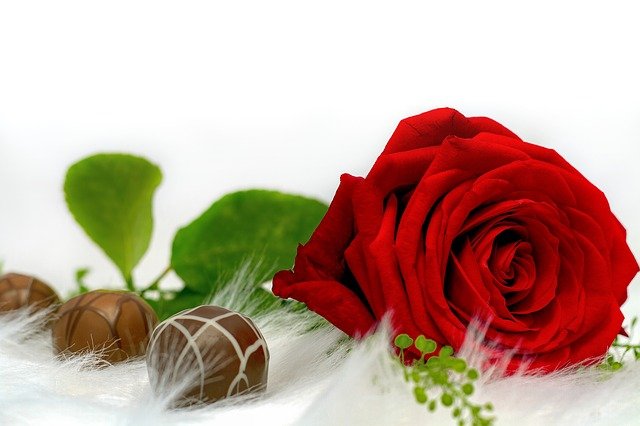 Flowers and Chocolate Delivery
