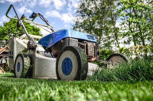 How to Grow Your Lawn Mowing Start-up Using Online Apps