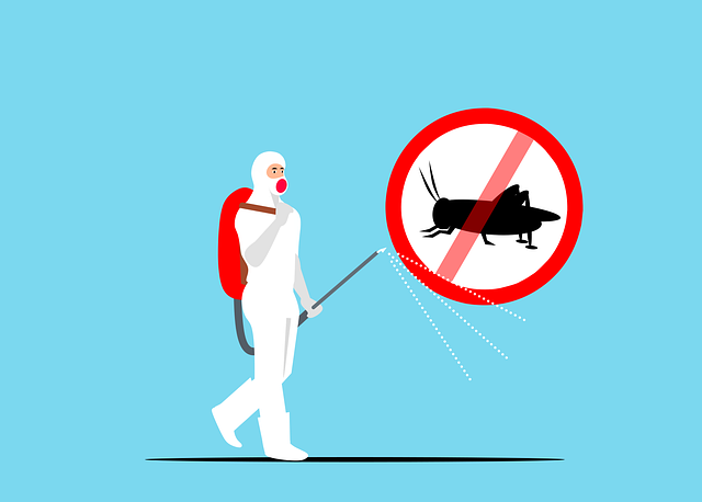 Reasons to Use a Pest Control Services