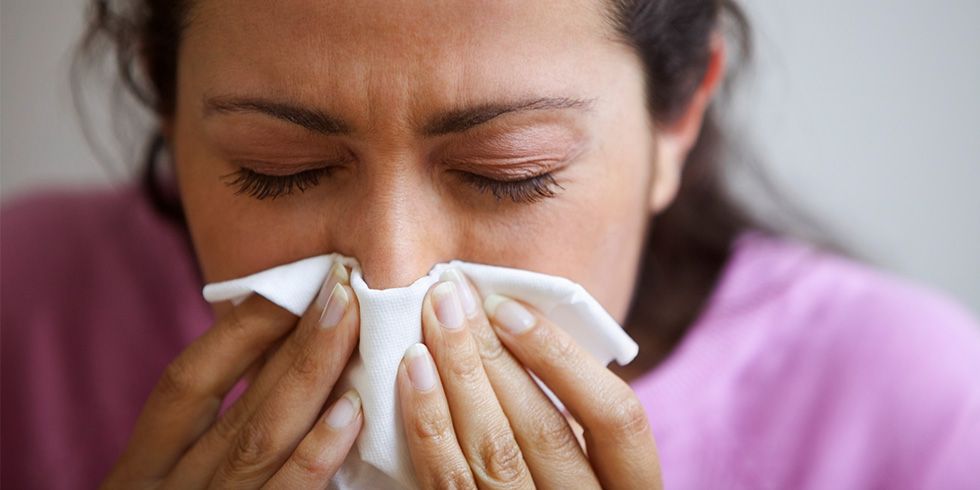 The Complete Guide to Common Indoor Allergy Triggers