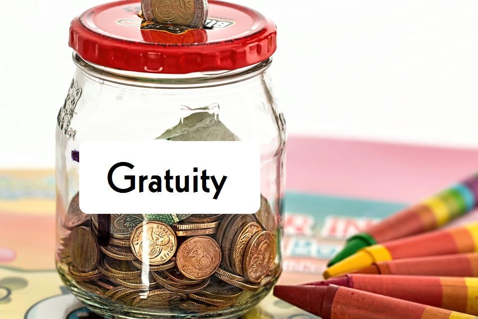 All-Inclusive Guide About Gratuity