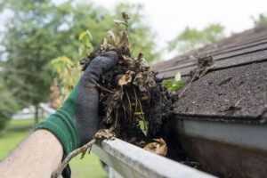 Gutter Cleaning Tips that Will Save Your Time & Effort