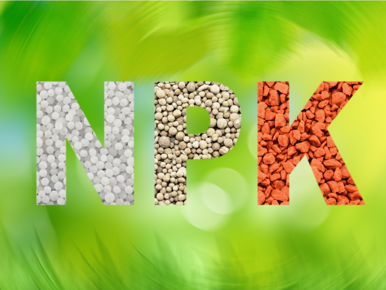 What You Need to Know About NPK Fertilisers