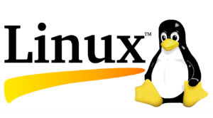 Reasons Linux Can Help You Become a Better Student